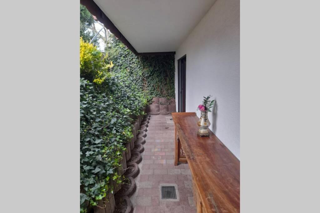 Souterrain Wohnung In בנסהיים מראה חיצוני תמונה